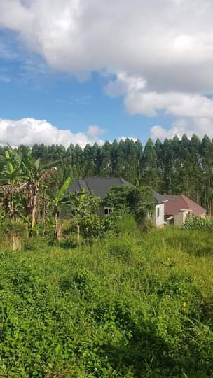 A picture of Private land 10 acres