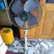A picture of NAUZA FENI NA PASI PHILIPS