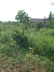 A picture of ANTI MR PROPERTY MANAGEMENT PLOT FOR SALE LOCATED AT KASANJE
