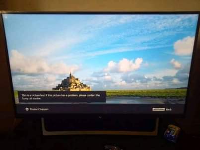 A picture of Sony Bravia Tv