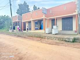 A picture of  Bussubuzi hotest .. Money needed so urgently 4 double