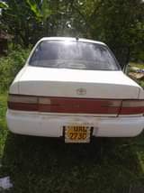 A picture of KIKUMI