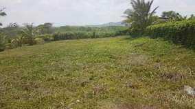 Lasana H.
