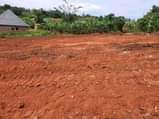 A picture of HALF LONDON WAKISO ESTATE 50BY100 WITH READY LAND TITLE AT