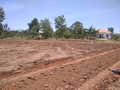 houses matugga