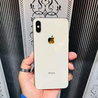 Apple K.