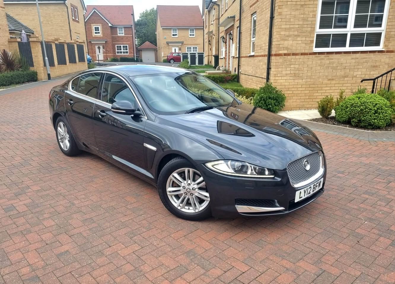 jaguar