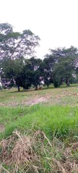 A picture of Farmland for sale 4m acre in Kiboga Ntwetwe Hoima road