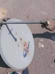 A picture of Nipigie 0659595029 bei sawa na bure 30000