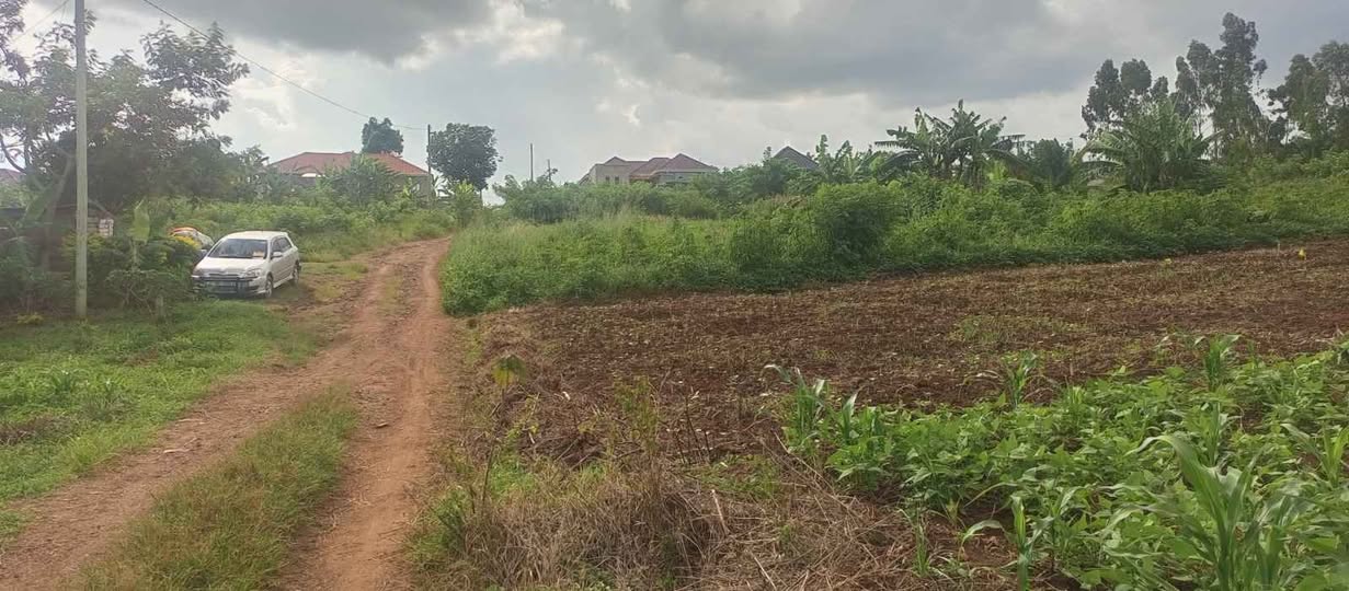 uganda plots