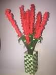 A picture of Maua