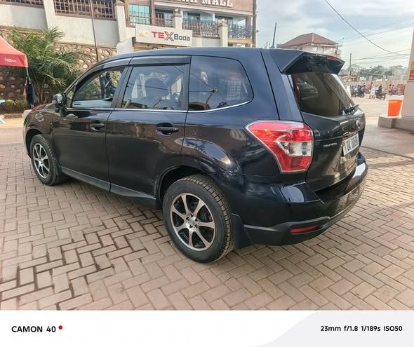 A picture of Forester