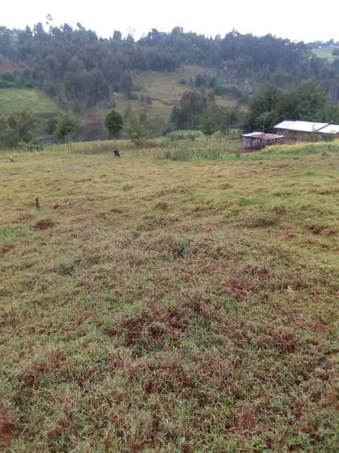 agricultural