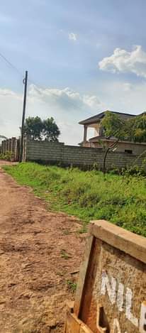 A picture of Plot on sale