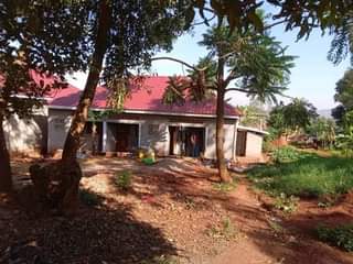 houses munyonyo