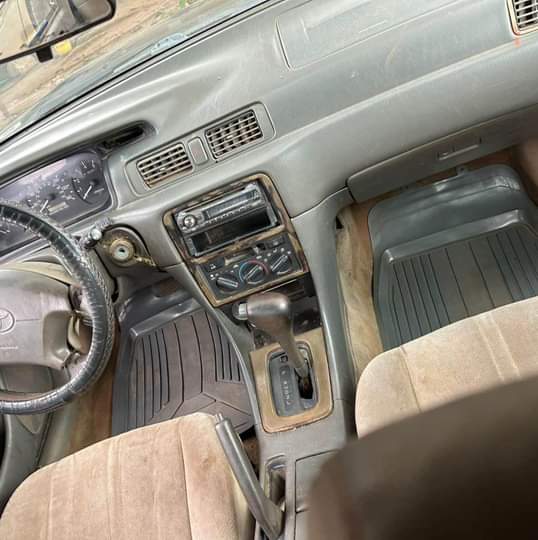 A picture of Camry Tiny07088153375