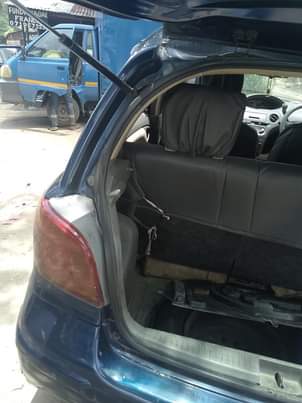 A picture of Nauza Vitz
