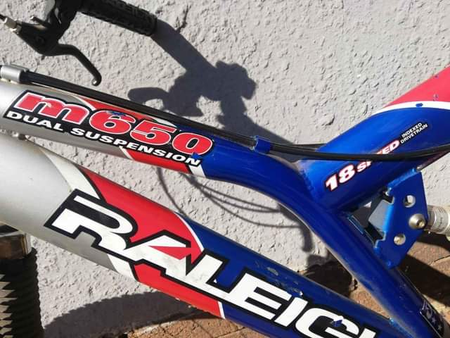 raleigh bicycles