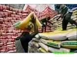 A picture of BAGS OF RICE FOR SALE