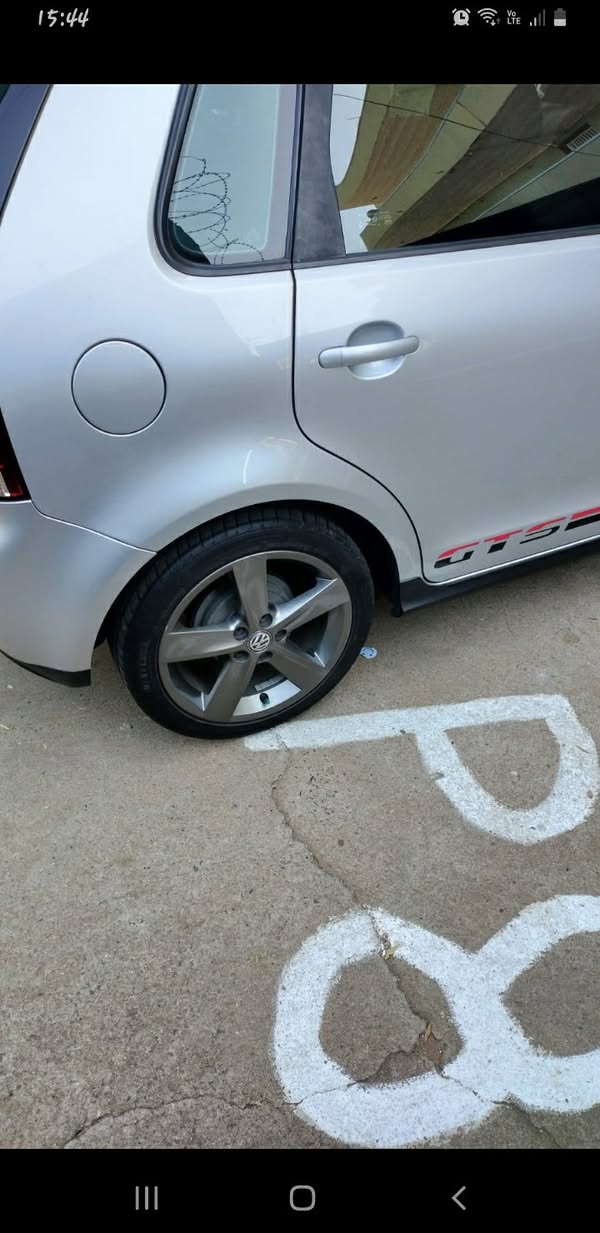 polo vivo