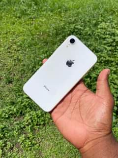 Akeel D.