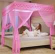 A picture of Mosquito Net