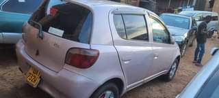 A picture of Vitz