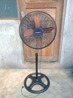A picture of Feni