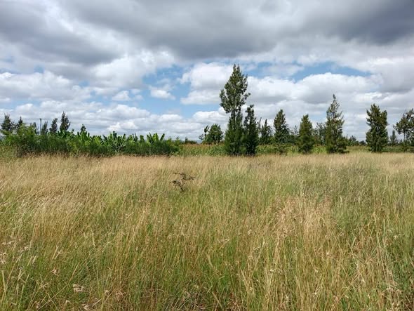 residential plots