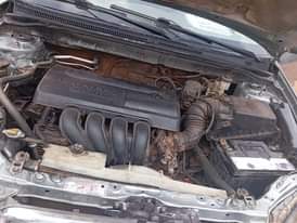 A picture of Corolla 04