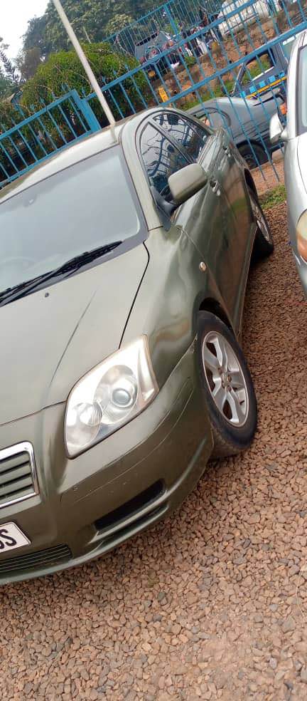 A picture of Avensis