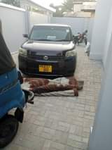 A picture of Toyota RUMION