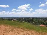 A picture of Titled plot of land on a quick sale