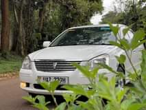 A picture of Cars