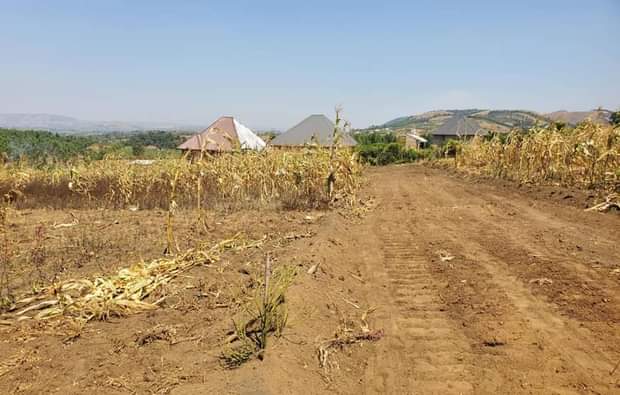 A picture of Commercial Plots