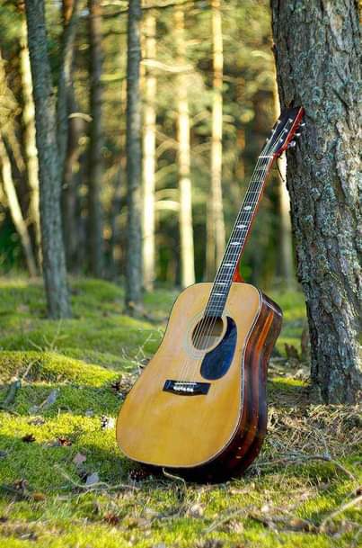 A picture of DARASA LA MUSIC KUPIGA GUITAR 0765451560