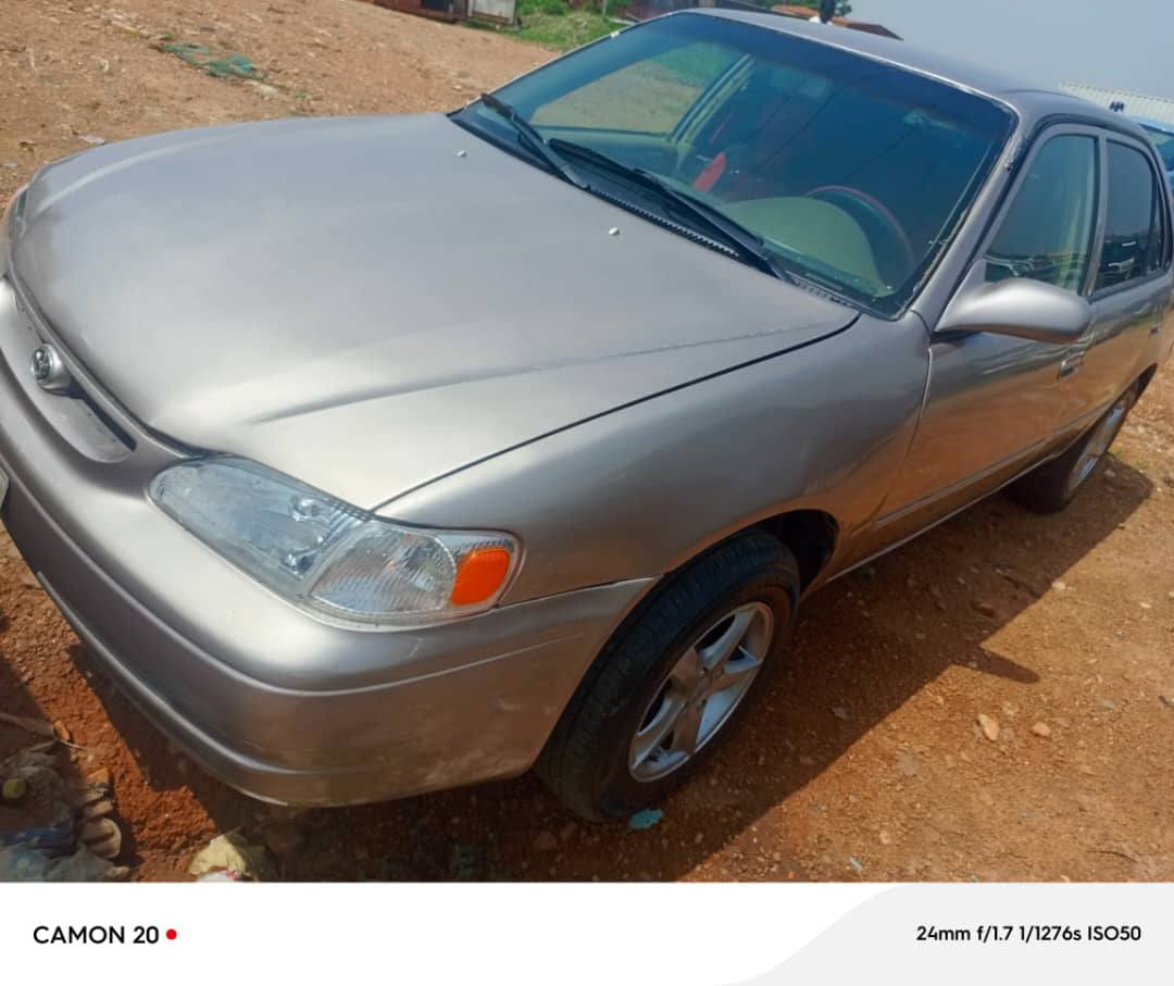 A picture of Toyota Corolla small but mighty
