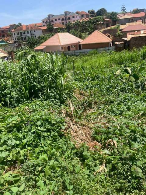 houses kyanja