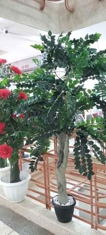 A picture of Artificial plants and flowers