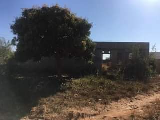 kabanana