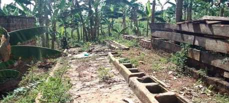 A picture of 33 decimals at 35m Matugga Kavule 2km off Tarmac Bombo