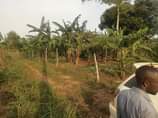 A picture of 3Acres on sale 100m all located kiwebwa nakikungwe we branch