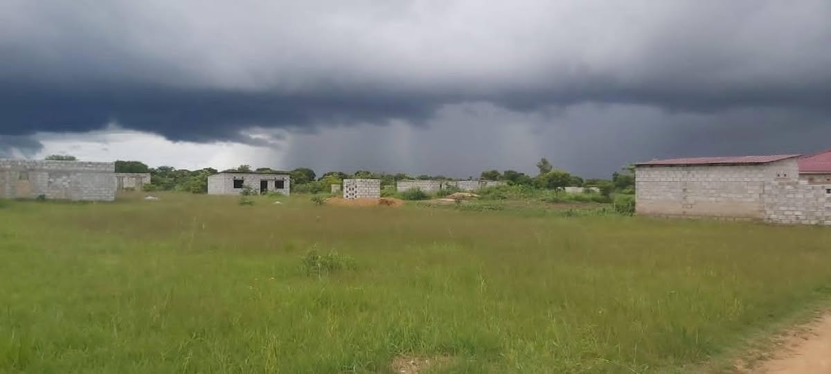 zambia plots