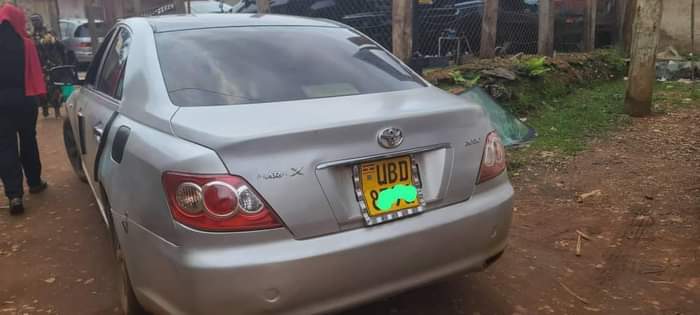 A picture of Toyota Mark X