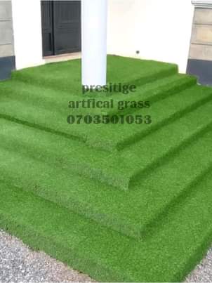 A picture of grass carpet