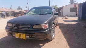 A picture of Colola sprinter bei 2m piga sim 0688757415