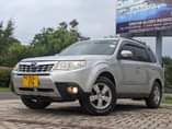 A picture of FORESTER NAMBA D NZURI