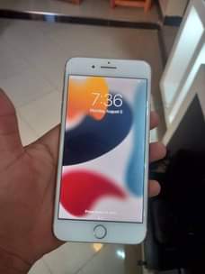 A picture of Iphne 7 plus
