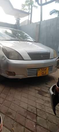 A picture of Gari