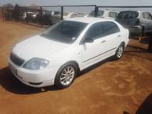 Thapelo M.